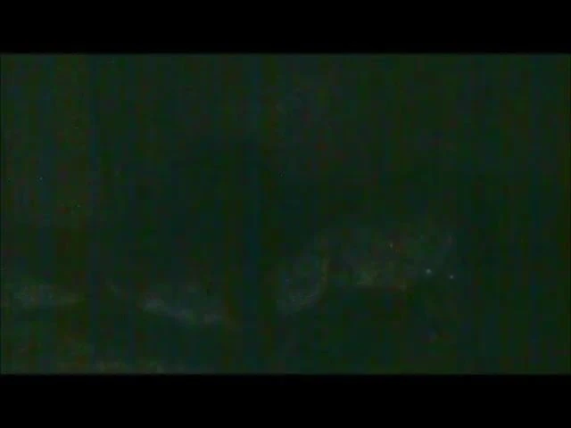 fuckface#3