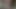 sylvietv