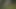 Sidik içen erkek seks köleleri sahibe tarafından kırbaçlıyor