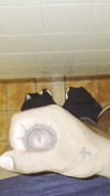 Pregled videozapisa