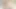 Wer wird den lesbischen kissenkampf gewinnen - clubsweethearts