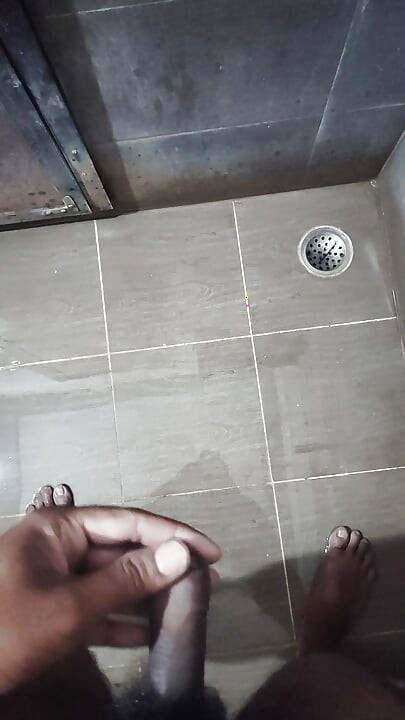 India grande polla