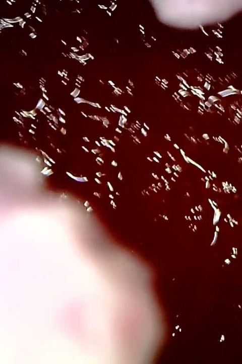 Medical Endoscope Oral Exam: Gummy Chewing, Extreme Teeth & Tongue Macro