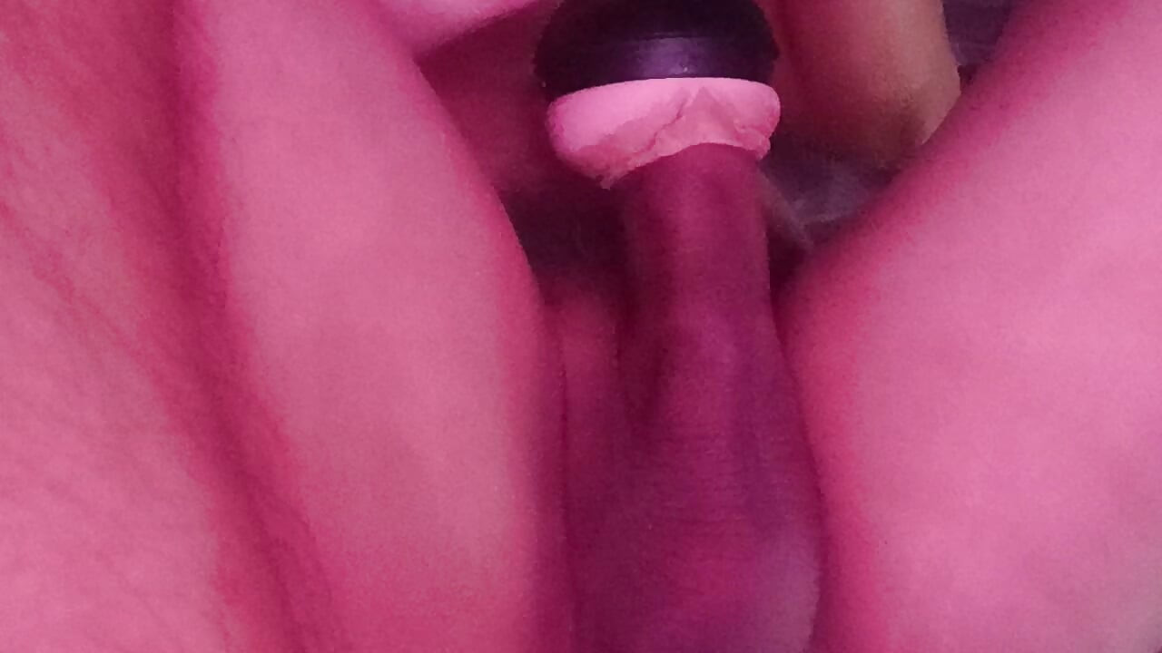 calentar mi leche día 1645