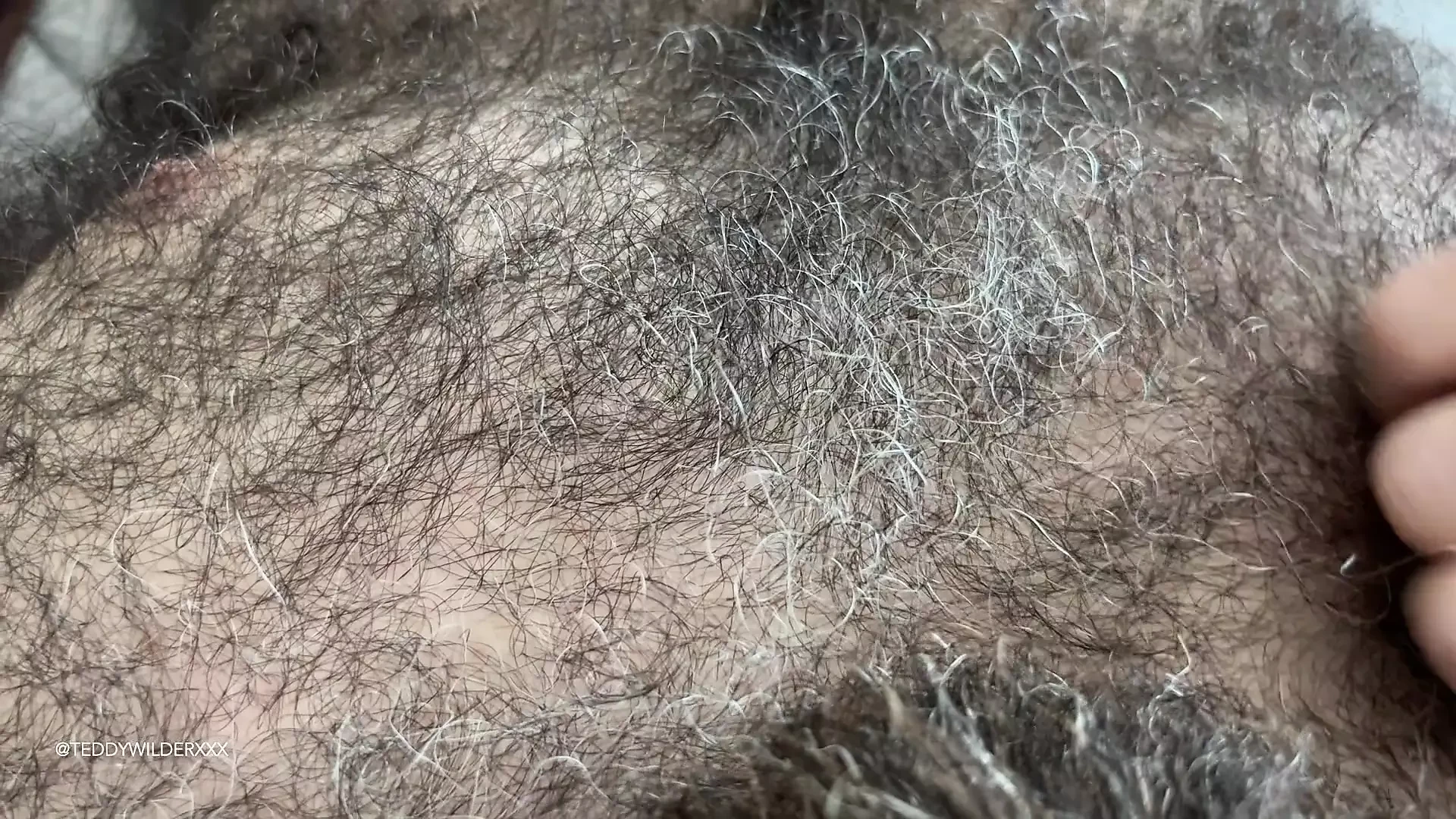Furplay: POV Extremely Hairy Bisexual Bear Cums While Rubbing His Furry Body