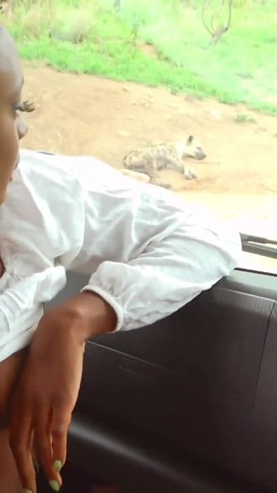 Memorable moment from "Real Black Babe Pussy Railed POV By Hung White Tourist In Safari Van"