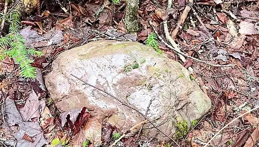 pussy pissing  water on the rock