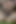 Beni sert yarakla kaydetmeyi ve mastürbasyon yapmayı seviyorum
