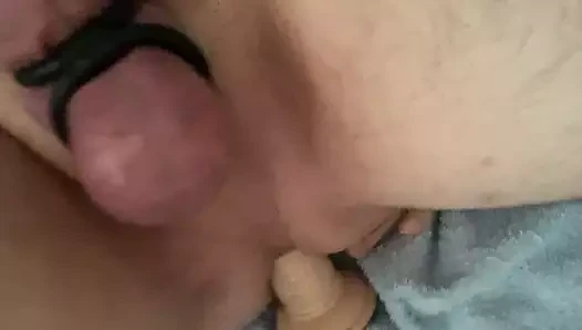 Götte dildo