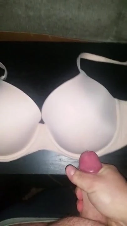 Allison's Victoria Secret 38 D Bra