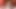 Anal kuyruk ekleme - seksi milf eşek ve kedi ile oynuyor