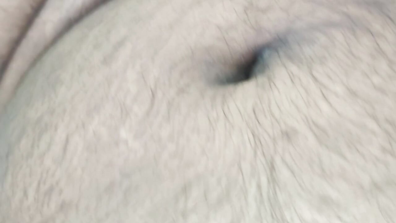 毎日の夜のトレーニング