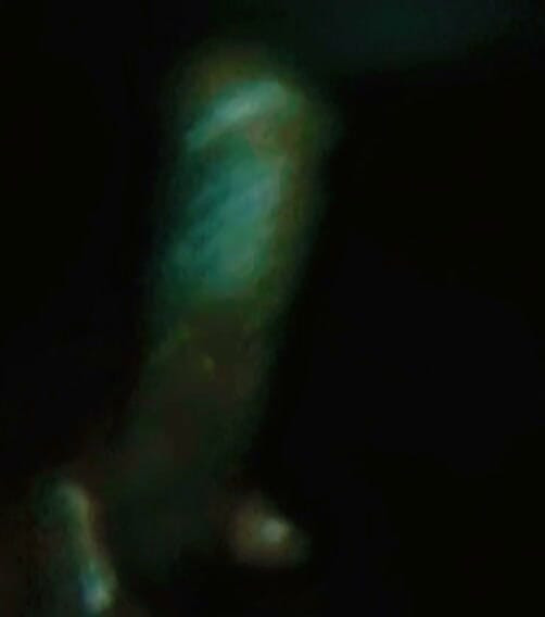 Big cock oil shake