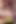 Ai generated - yaramaz oda arkadaşı sikiş hikayesi (sert erotik monolog)