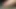 Colombian porno young penis full of milk ready for you