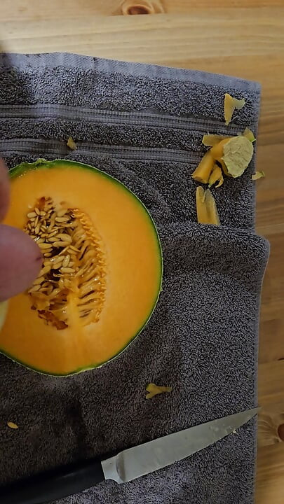 Fucking a melon