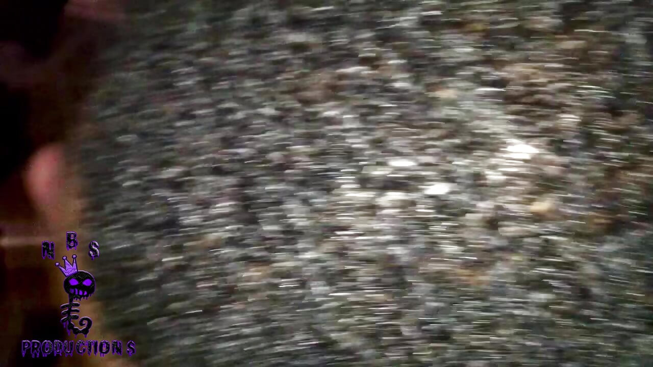 Пригоди чорношкірих селекціонерів 175