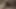 MtF Asian American sissy trap female showing offer her big tits sucking dick and taking bareback anal creampie