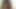 cute little Tanner Mayes sucking and riding a huge cock