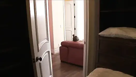 Fantastik genç seksi zenci kızlar büyük siyah yaraklarla sikiliyor ve ağzına ve amına boşalıyor