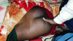 Pregled videozapisa