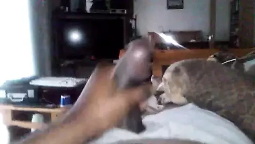 Furious Fap - Huge explosion!