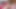 Granny Carmen's Lady in Red Cock Sucker 10082023 CAMS23M