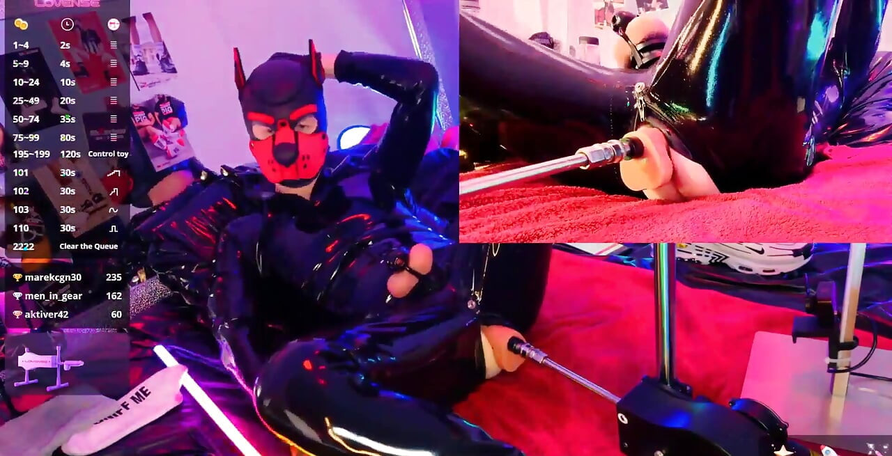 Nicolaus Rubber Show with Pet Mask