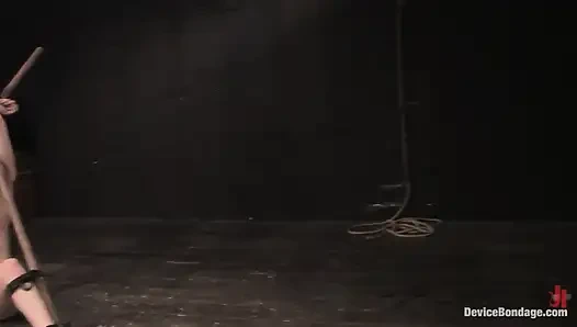 Calico orgasme overload, untuk liburan musim semi kami.