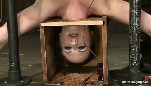 Orlando'dan bazı yardımlarla Sophie Monroe 4. gün dayanıklılık ve çıkmaz testi