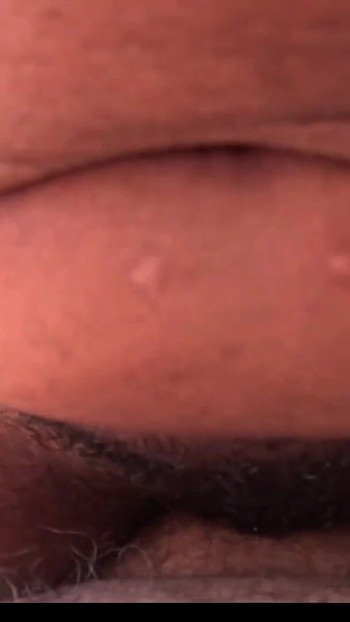 Pastel & Rex in Portlock | Clip 3