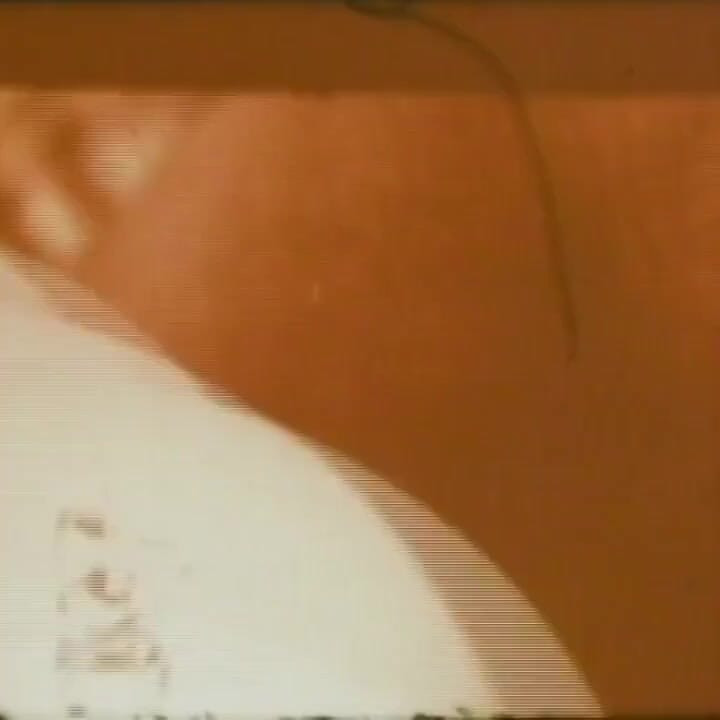 "أصلنا xxx ... - المجلد 14