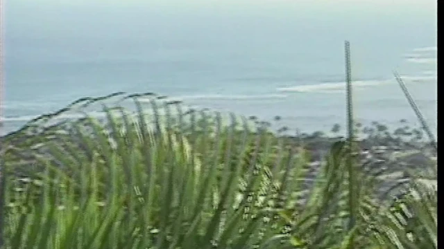 Island Fever 02 Scene 2