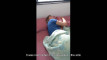 Pratinjau video