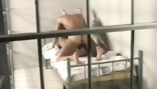Male Instinct 2