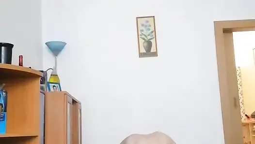 такое наше домашнее отвлечение