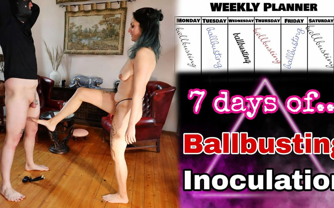 7 dias de ballbusting