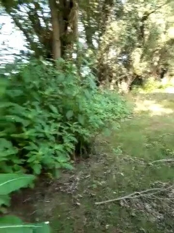In nature