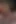 My pet begs me to let him cum, but I deny his orgasm