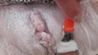 非常に腫れたクリトリスを露出したマンコを剃る