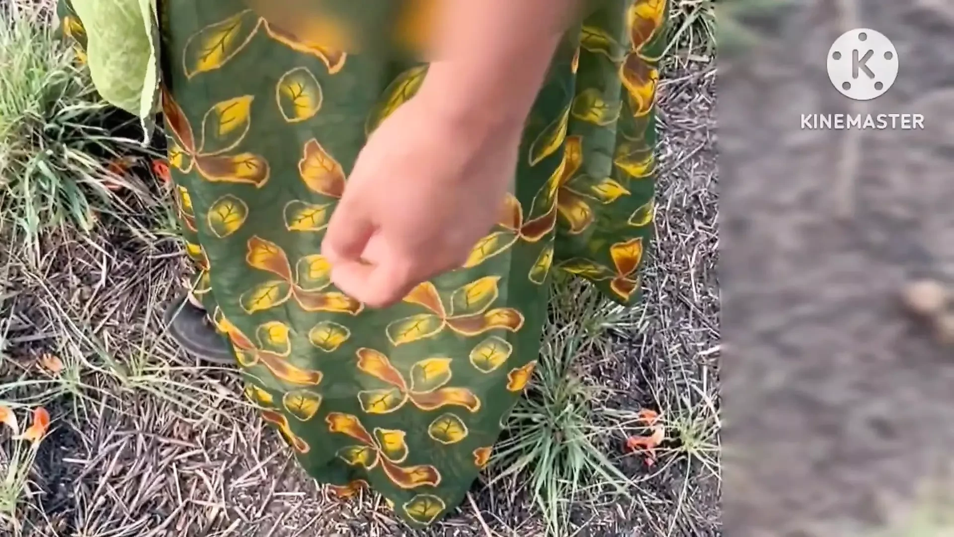Village bhabhi fucked by Daver in outdoor Jungle xx video, desi bhabhi sex in Jungle hindi audio