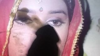Индийская знаменитость Madhuri Dixet, трибьют спермы