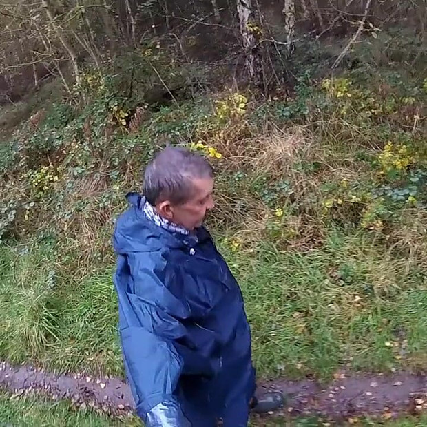 Mokar dan u šumi