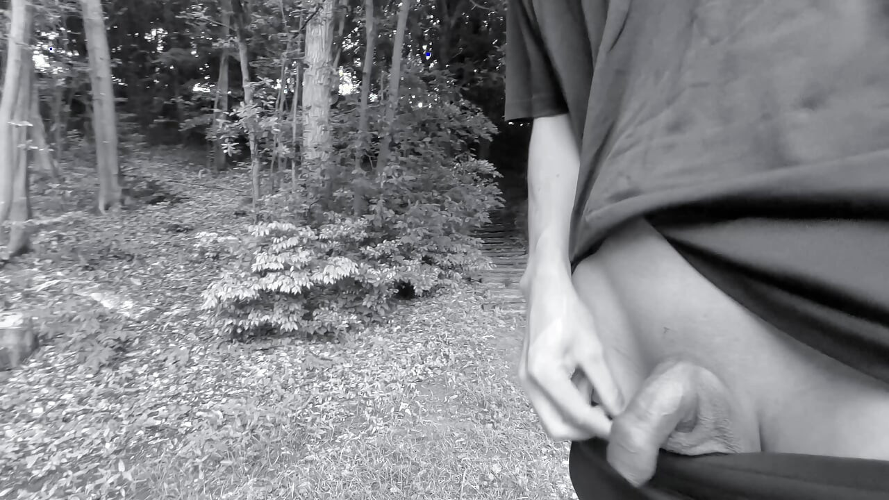 一個包皮小的小男孩在樹林裡暴露自己