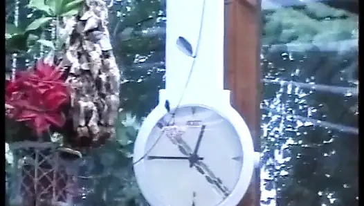 Трахнутая в анал немецкая крошка наслаждается ублажанием двух членов одновременно