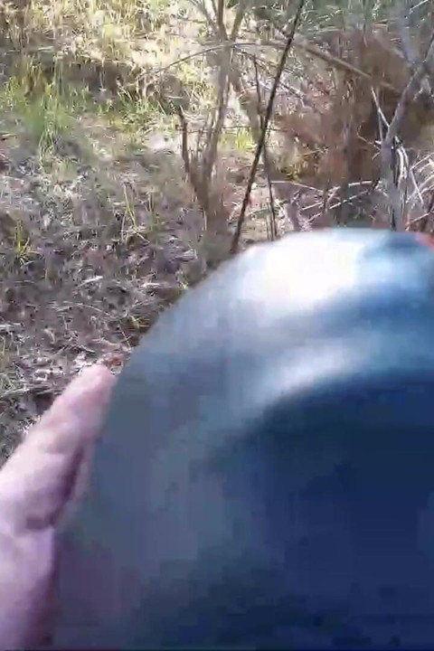 Outdoor sex in the wood. Wearing sexy clothes and high heels, bound, throated and fucked