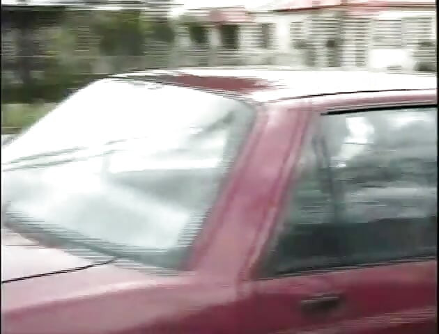 寝室の大きな白いコックに美しい背中の猫