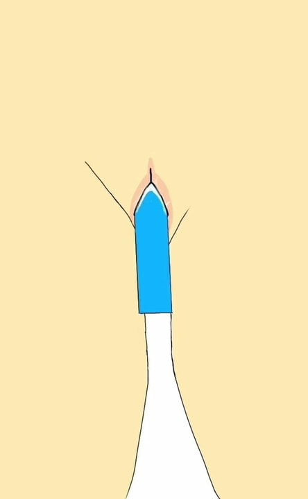 Sex toy in pussy