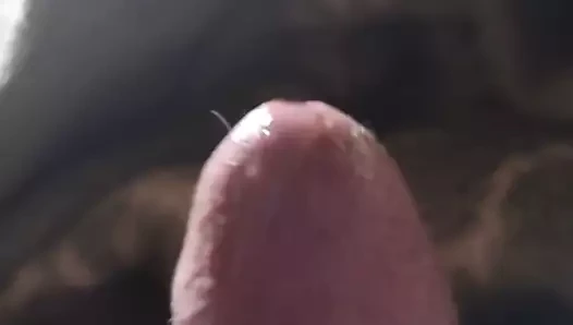 Sperm- petrinja10