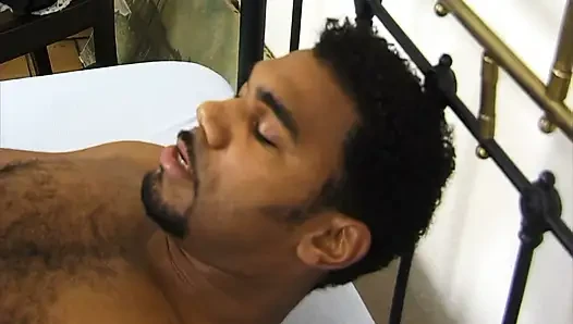 BBC Stretching White Ass Deep in Doggy Style